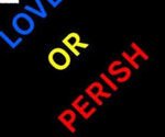 IMG_1696_thumb155_crop.JPG