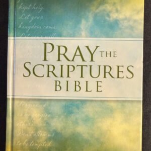 Pray The Scripture Bible, Like New - Read