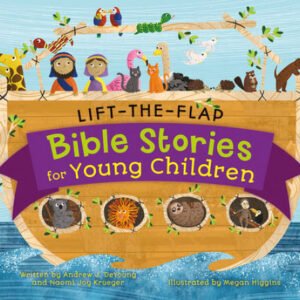 Lift-the-Flap Bible Stories for Young Children - Board book - VERY GOOD