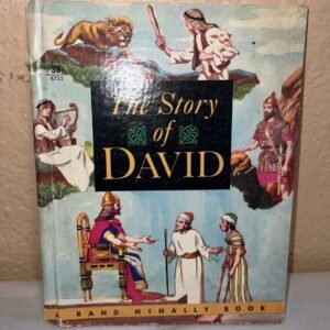 Vintage The Story of David ~ Rand McNally Book ~ Jean Richards 1965